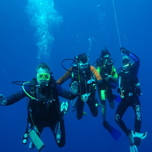 Tauchen im Atlantik vor Teneriffa