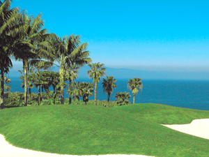 Zum Vergr��ern auf das Bild klicken...