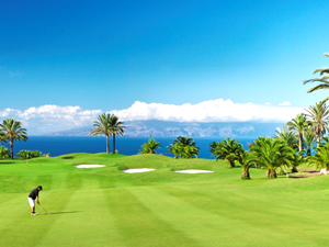 Zum Vergr��ern auf das Bild klicken...