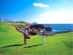 Zum Vergr��ern auf das Bild klicken...