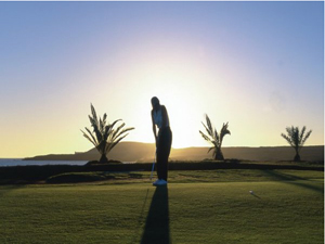 Zum Vergr��ern auf das Bild klicken...