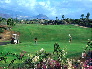 Zum Vergr��ern auf das Bild klicken...