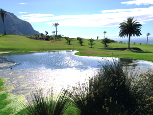 Zum Vergr��ern auf das Bild klicken...