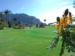 Zum Vergr��ern auf das Bild klicken...