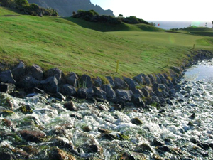 Zum Vergr��ern auf das Bild klicken...