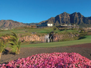 Zum Vergr��ern auf das Bild klicken...