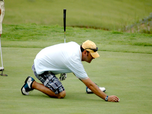 Zum Vergr��ern auf das Bild klicken...