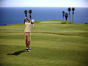 Zum Vergr��ern auf das Bild klicken...