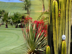 Zum Vergr��ern auf das Bild klicken...