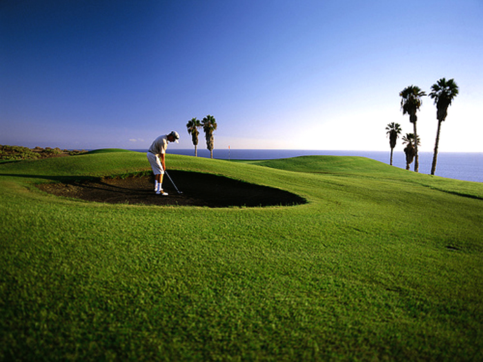 Zur�ck zur Bild�bersicht? Hier klicken!