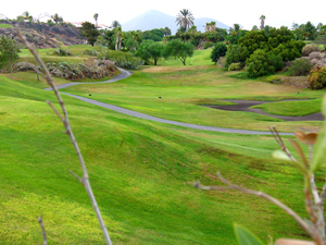 Zum Vergr��ern auf das Bild klicken...