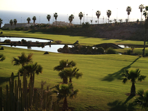 Zum Vergr��ern auf das Bild klicken...
