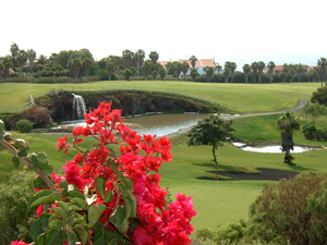 Zum Vergr��ern auf das Bild klicken...