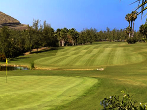 Zum Vergr��ern auf das Bild klicken...