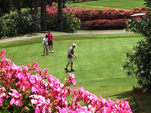 Zum Vergr��ern auf das Bild klicken...