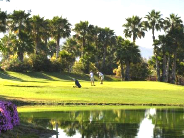 Zur�ck zur Bild�bersicht? Hier klicken!