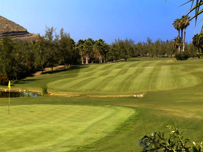 Zur�ck zur Bild�bersicht? Hier klicken!