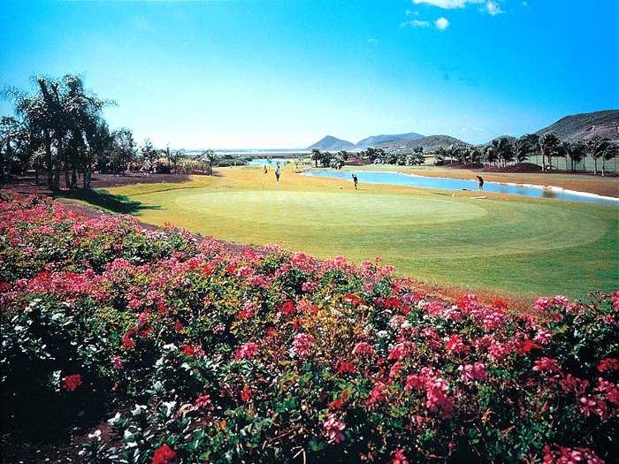 Zur�ck zur Bild�bersicht? Hier klicken!