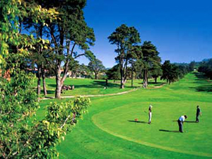 Zum Vergr��ern auf das Bild klicken...