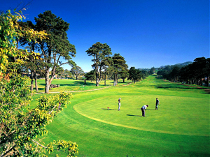 Zum Vergr��ern auf das Bild klicken...