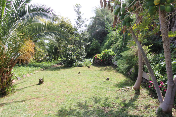 Zur�ck zur Bild�bersicht? Hier klicken!