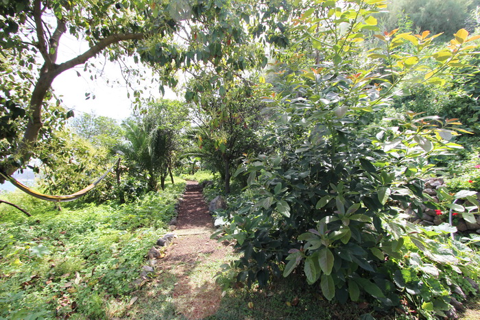 Zur�ck zur Bild�bersicht? Hier klicken!