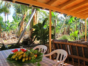 Fotos m�s grande? Hace un clic por aqui