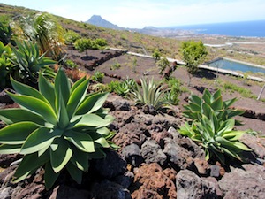 Zum Vergr��ern auf das Bild klicken...