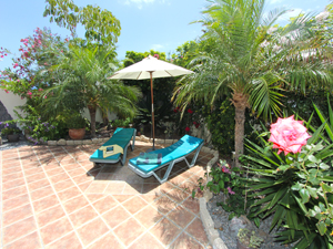 Click here for bigger photos