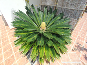 Click here for bigger photos