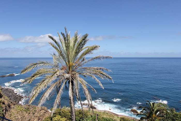 Zur�ck zur Bild�bersicht? Hier klicken!