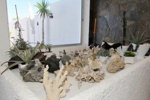 Zum Vergr��ern auf das Bild klicken...