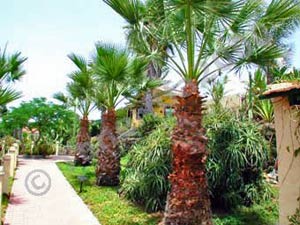 Cuco Azul - Bungalow B Cuco Azul - Bungalow B