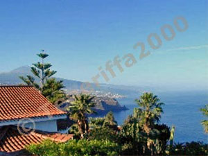 Cuco Azul - Bungalow B Cuco Azul - Bungalow B