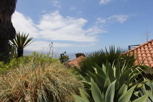 Zum Vergr��ern auf das Bild klicken...