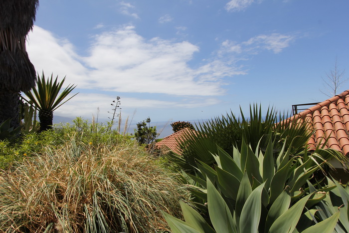 Zur�ck zur Bild�bersicht? Hier klicken!