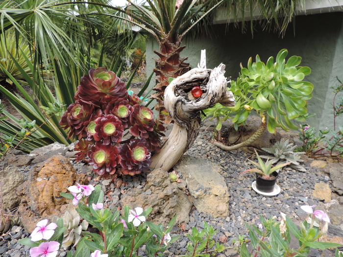 Zur�ck zur Bild�bersicht? Hier klicken!