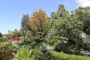 Zum Vergr��ern auf das Bild klicken...