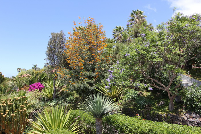 Zur�ck zur Bild�bersicht? Hier klicken!