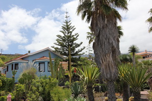 Zum Vergr��ern auf das Bild klicken...