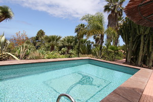 Zum Vergr��ern auf das Bild klicken...