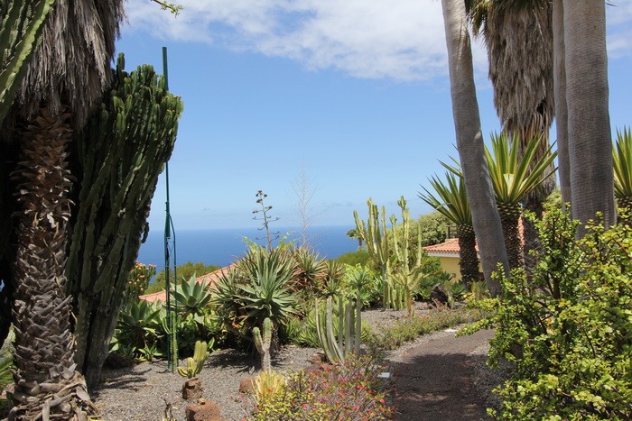 Zur�ck zur Bild�bersicht? Hier klicken!