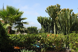 Zum Vergr��ern auf das Bild klicken...