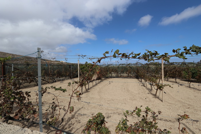 Zur�ck zur Bild�bersicht? Hier klicken!