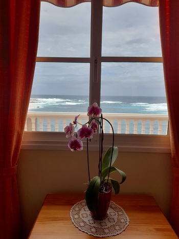 Zur�ck zur Bild�bersicht? Hier klicken!