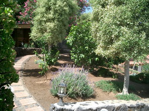 Zum Vergr��ern auf das Bild klicken...