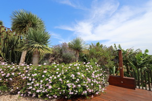 Zum Vergr��ern auf das Bild klicken...