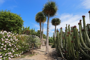 Zum Vergr��ern auf das Bild klicken...