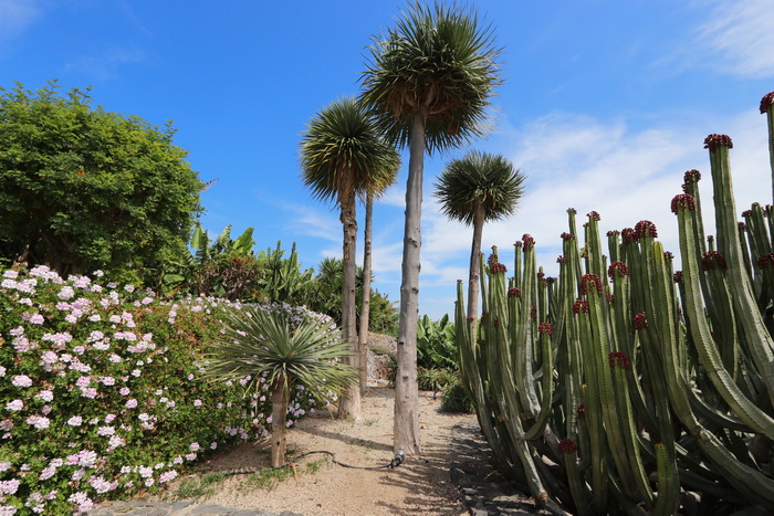 Zur�ck zur Bild�bersicht? Hier klicken!