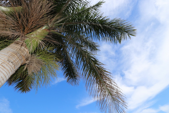 Zur�ck zur Bild�bersicht? Hier klicken!